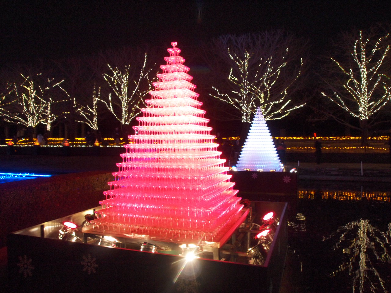 f0016868_20565948.jpg