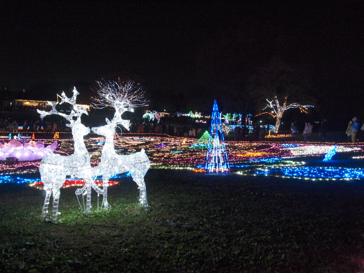 f0016868_210109.jpg