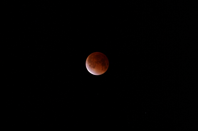 a0056769_23281258.jpg