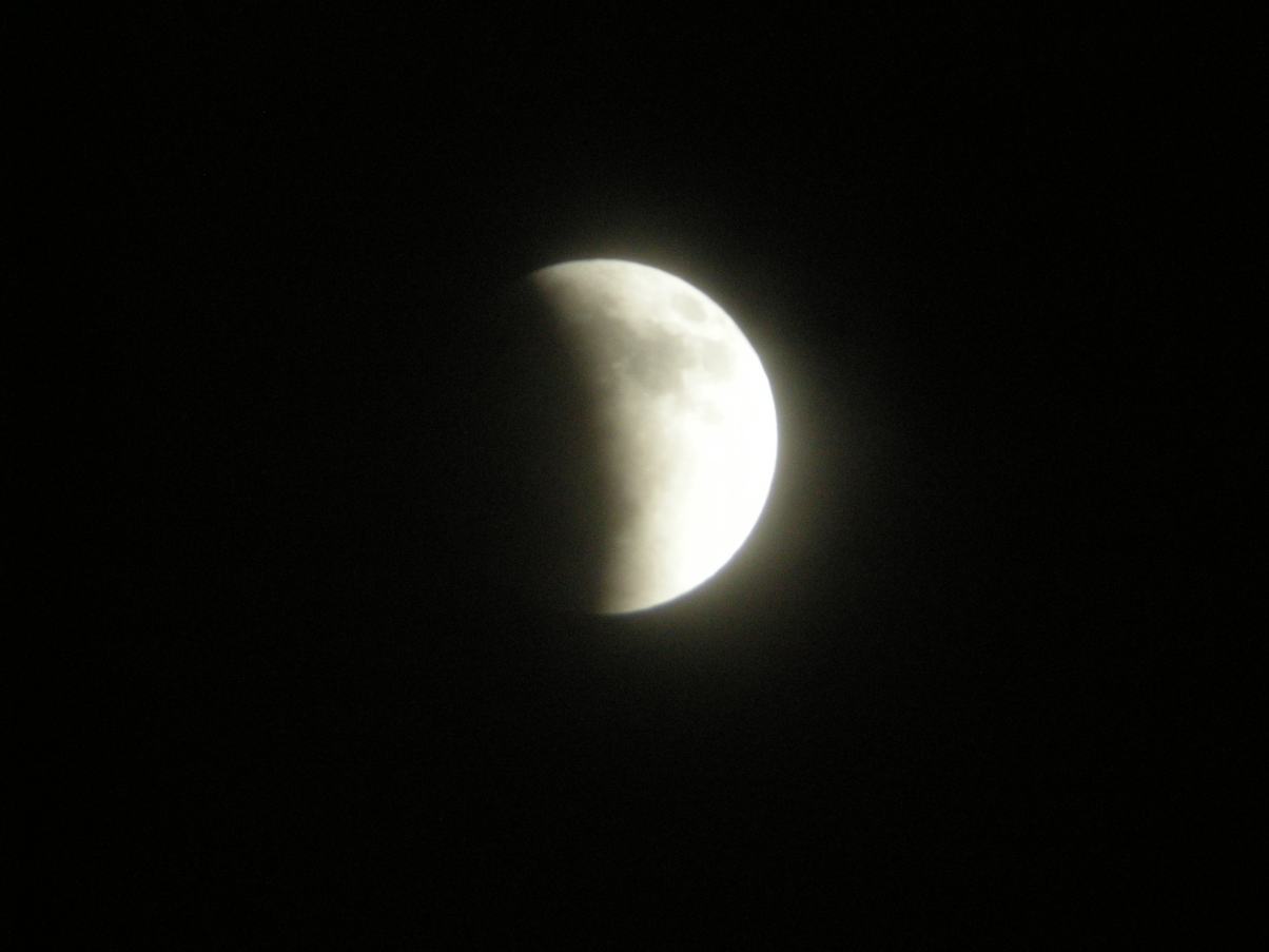 a0053771_13374284.jpg
