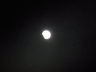 b0185771_15582015.jpg