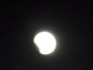 b0185771_15583217.jpg