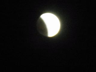b0185771_15585366.jpg