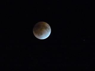 b0185771_160290.jpg