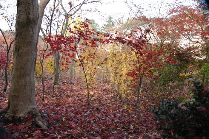 e0249878_15521912.jpg