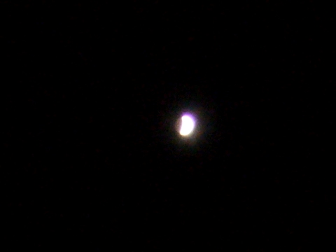 f0079085_1771839.jpg
