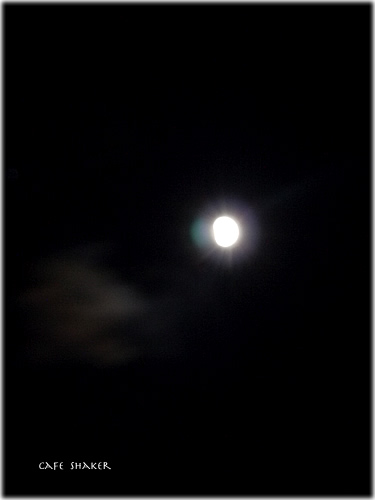 e0138787_1142755.jpg