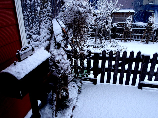 a0007388_9425848.jpg