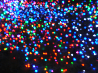 c0207189_1455845.jpg