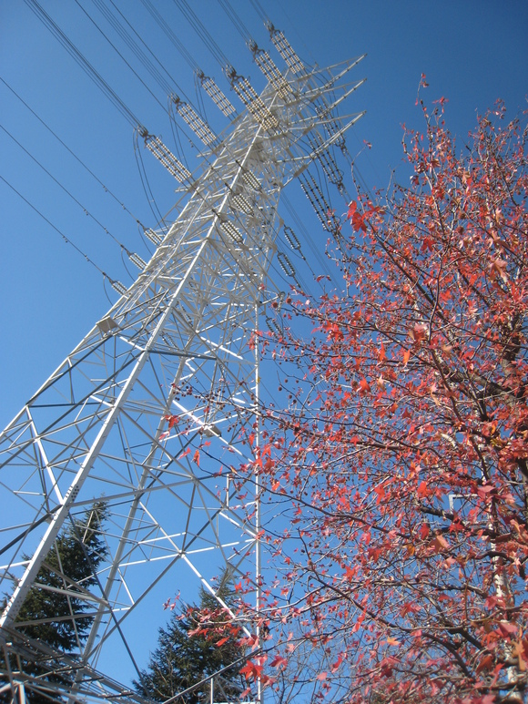 d0224990_20431634.jpg