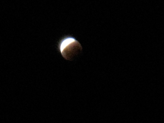 e0197895_1626138.jpg