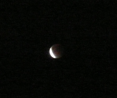 a0127296_21371342.jpg