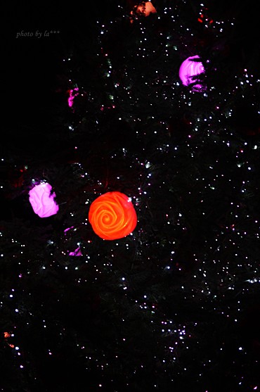 c0215296_258636.jpg