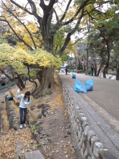 a0126497_1043290.jpg