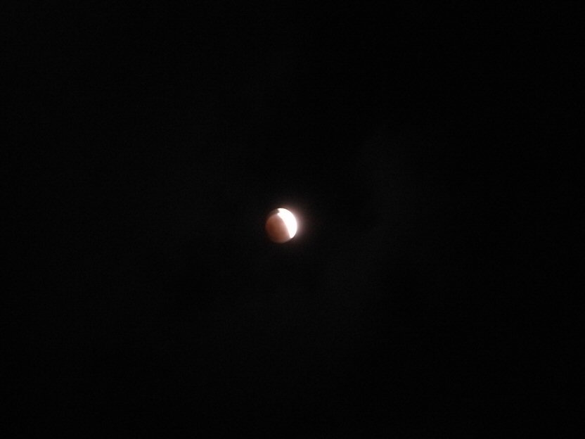 a0194797_19324772.jpg