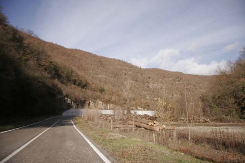 f0106597_238829.jpg