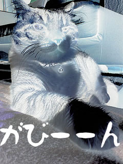 c0035001_16564986.jpg