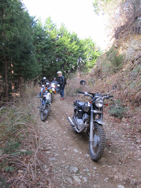 e0157602_1182668.jpg
