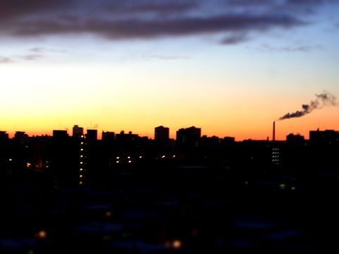 e0117805_1763722.jpg