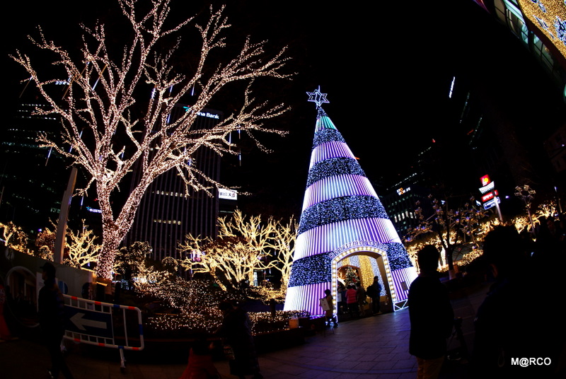 c0037611_21492060.jpg