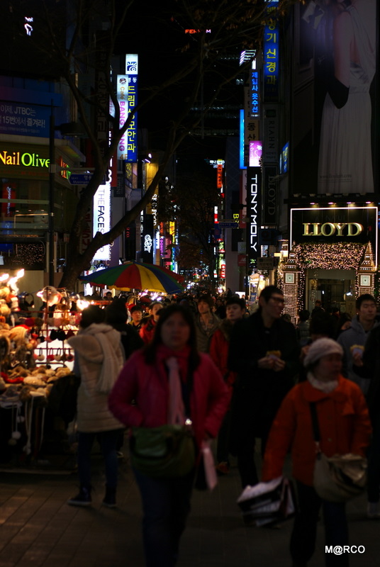 c0037611_223394.jpg