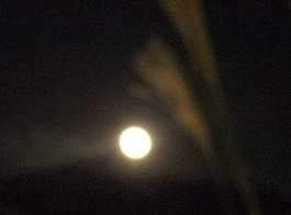 f0068511_059091.jpg