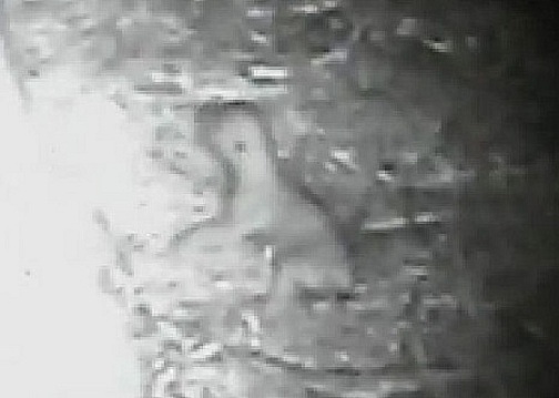 a0151913_2034544.jpg
