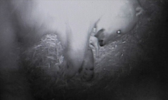a0151913_2083436.jpg
