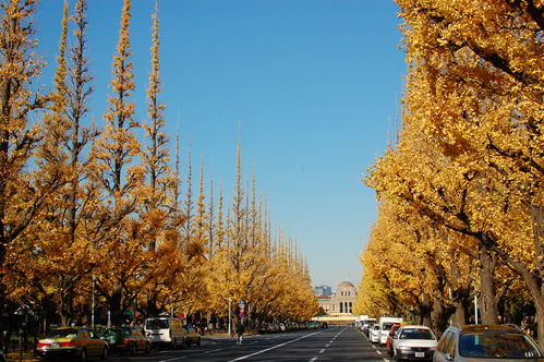 e0214513_22481030.jpg