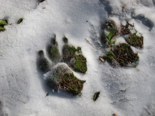 e0192217_10103376.jpg