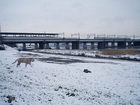 c0083518_2015556.jpg