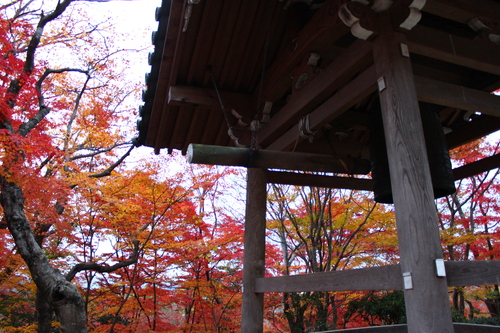 e0240420_1213141.jpg