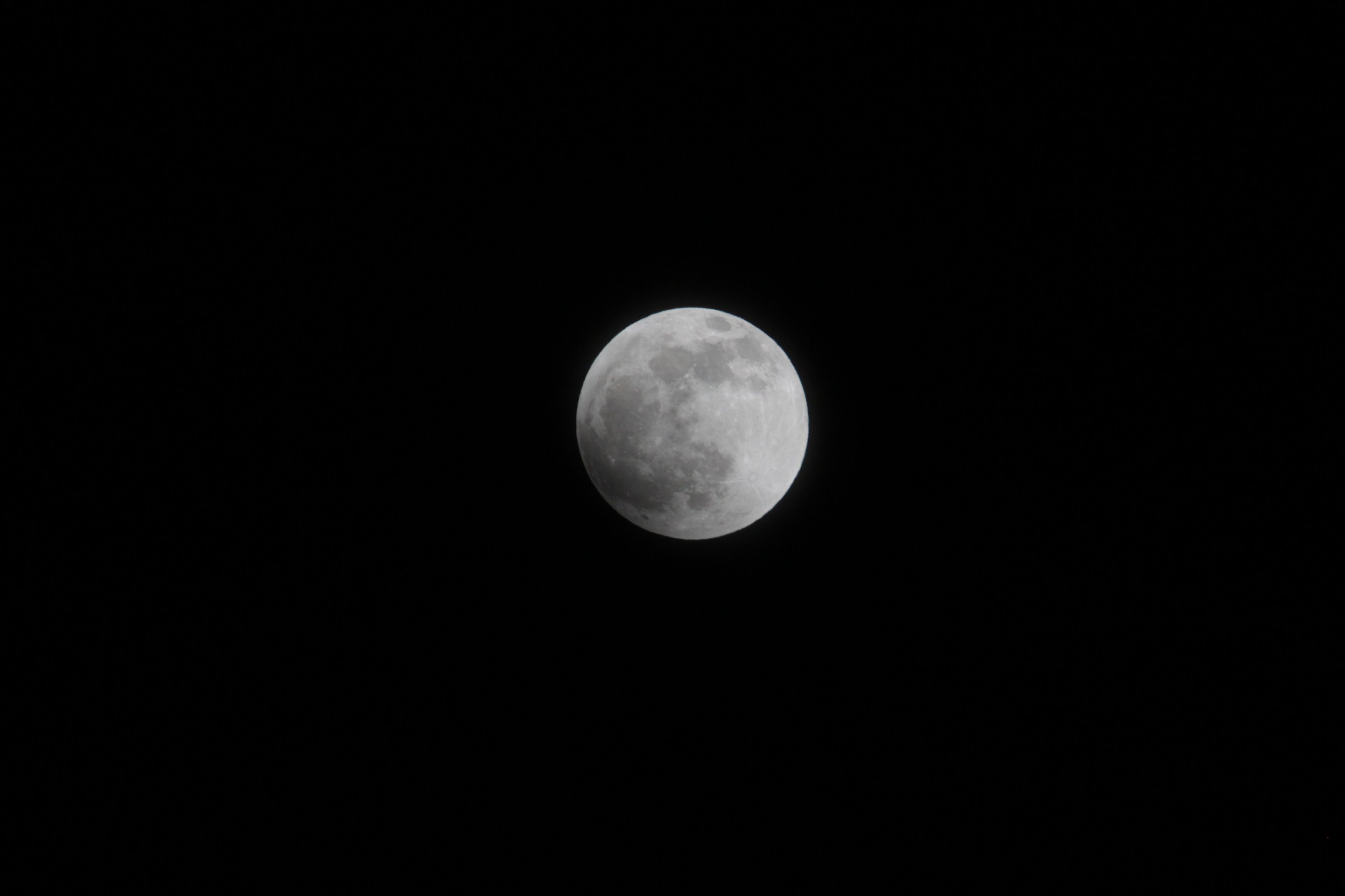 f0186021_22394988.jpg