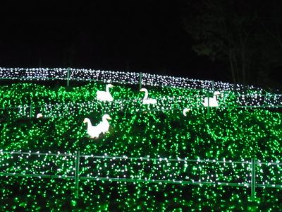 f0214121_23254450.jpg