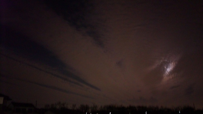 b0199924_2005820.jpg