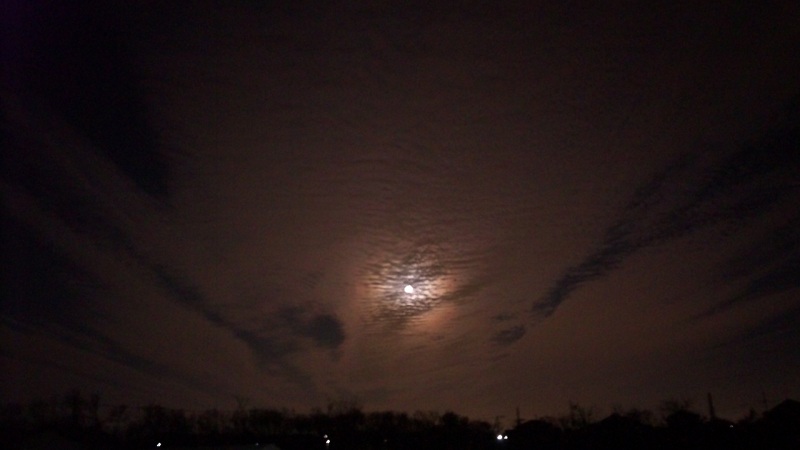b0199924_201241.jpg