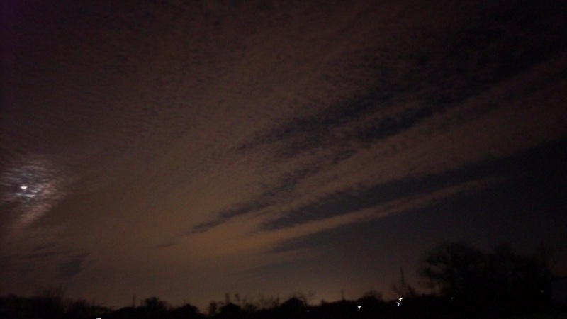 b0199924_201776.jpg