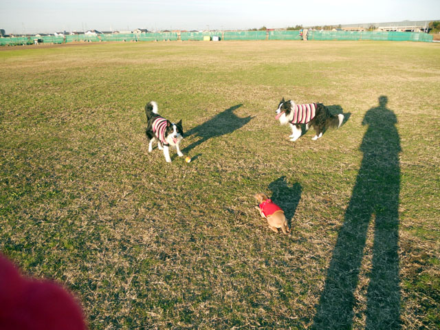 d0059230_8554184.jpg