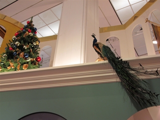 f0224632_20195288.jpg