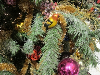f0224632_20204973.jpg