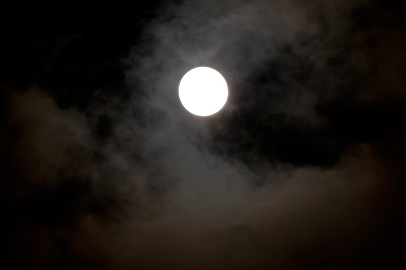 b0177233_59183.jpg