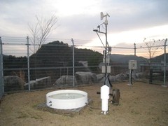c0134734_23121535.jpg