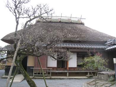 c0077338_5563937.jpg