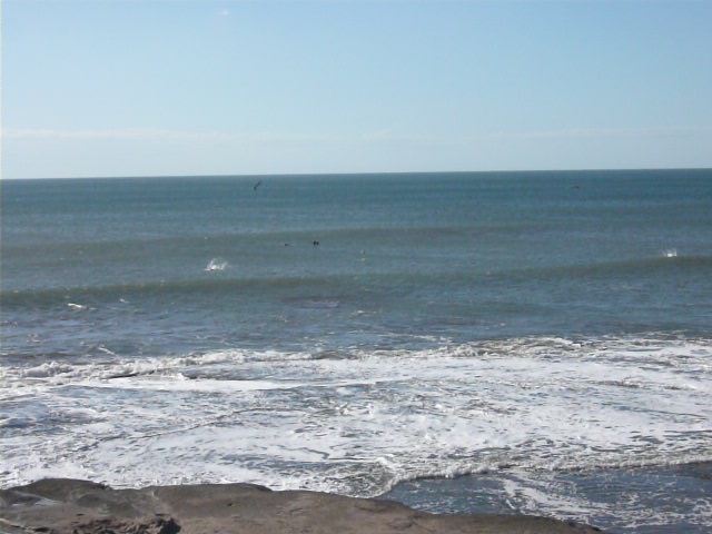 a0040739_1321640.jpg