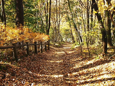 e0022839_1271847.jpg