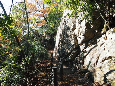 e0022839_143965.jpg