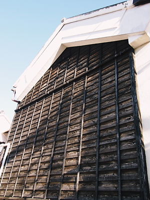 e0022839_194337.jpg