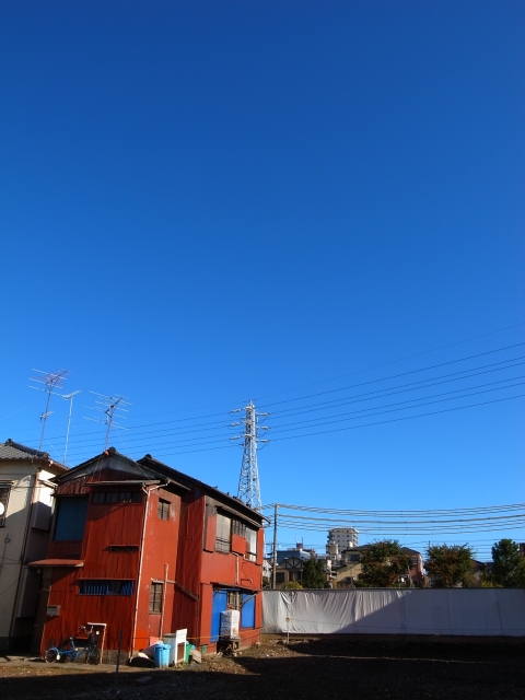 a0087341_2332358.jpg