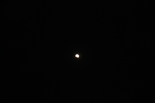 d0222641_2103684.jpg