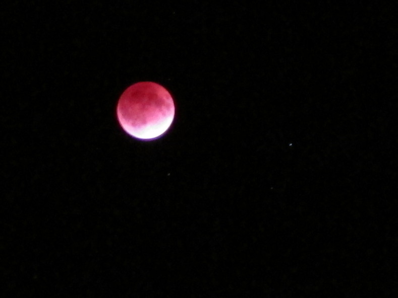 f0219441_12395732.jpg